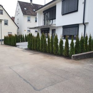 Mehr über den Artikel erfahren Bauvorhaben Vorgarten